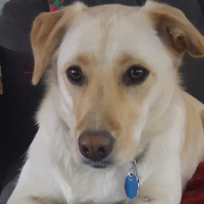 ColorMeShoe's profile picture. 