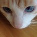 K (@230259l) Twitter profile photo K (@230259l) Twitter profile photo