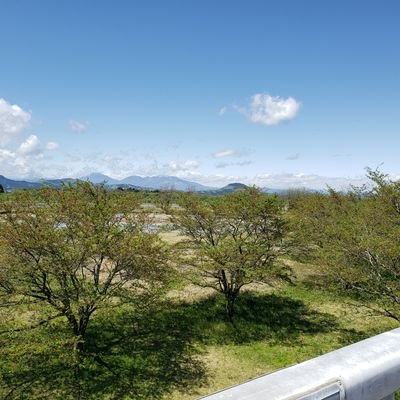 ts_noir's profile picture. 