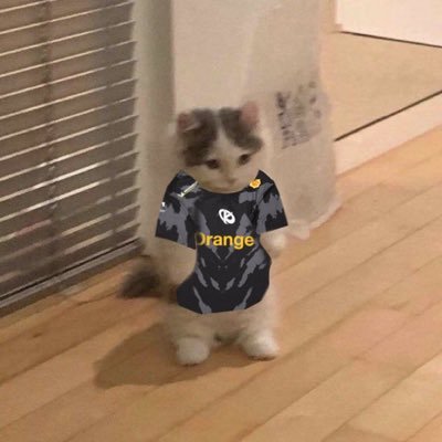 knoukii's profile picture. 