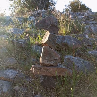 viajoYpienso's profile picture. 