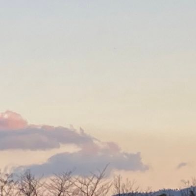 1bqdeeO1He77362's profile picture. ジャンルごちゃ混ぜオタク垢 下品