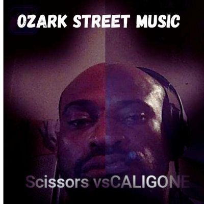 I'm a artist, songwriter, rapper, Singer,CEO of OZARK STREET MUSIC LLC