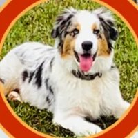 CSan80 (@cats479) 's Twitter Profile Photo CSan80 (@cats479) 's Twitter Profile Photo