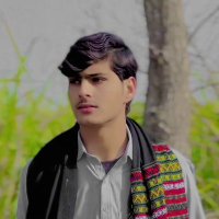 Tariqwazir (@tariqwazir75593) 's Twitter Profile