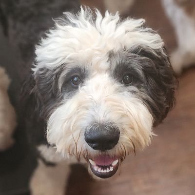 e1ff125a0ced49c's profile picture. 