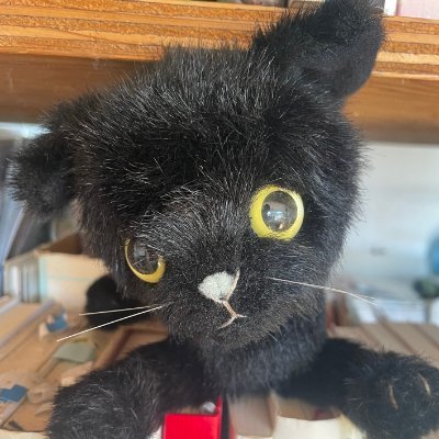 sugarsnow0707's profile picture. English learner/love music, jogging, baking, reading and writing/生活愛好家/英語歴9年/英検準１級（23年7月 writing満点☺）/
子ども英語講師/https://t.co/chueDRubJyバイオリン弾いてます🎻