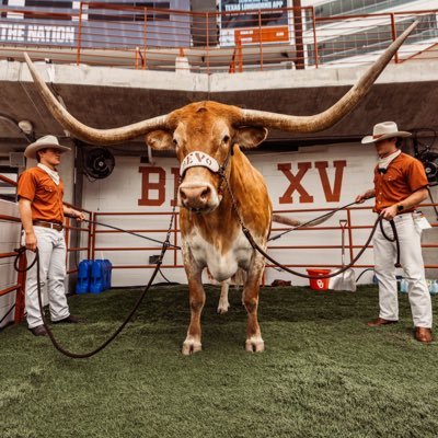Easton_Jones_TX's profile picture. 