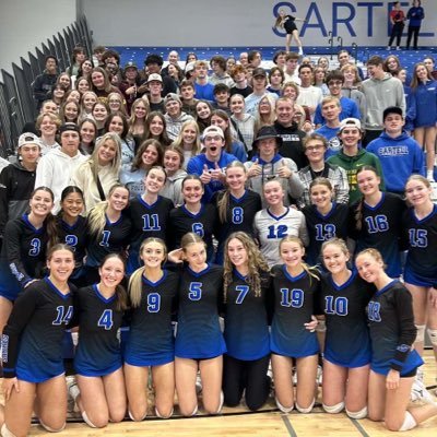 Sartell Sabre Volleyball Profile