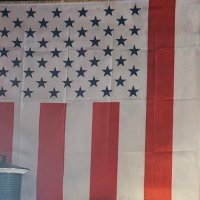 🇺🇸We The People🇺🇸 (@silverbackapee) 's Twitter Profile