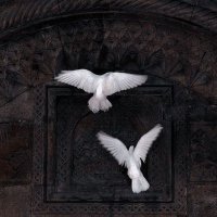 آىه| صلّوا على النبىﷺ (@komy__1) 's Twitter Profile