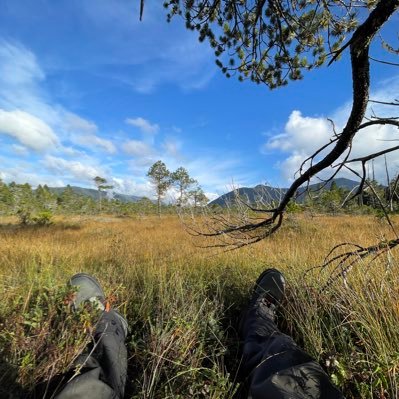 C3Corrao's profile picture. 