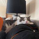 Jasper Anderson - @jaspera0903 - Twitter