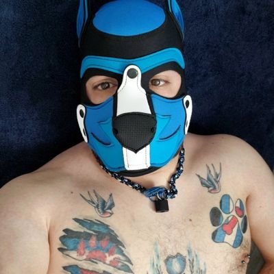 Alpha Pup BoltBlue | Beta @pupspikechaos | HusPup @Runsonic7 
IG: PupBoltBlue23 
SC:Blue23cub 
CashApp: $blue23cub
https://t.co/Q1D5QYNriu