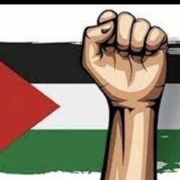 Free_Palestine (@utdhenson) 's Twitter Profile