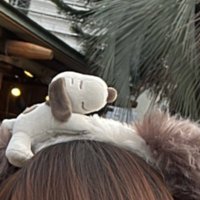 栞 (@shi_oooo_ri) Twitter profile photo