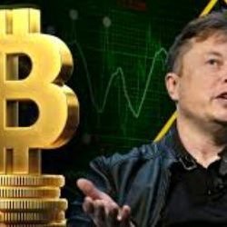 Elon musk Bitcoin Trading