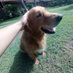 Trinity Trantow (@trantowtri50396) Twitter profile photo Trinity Trantow (@trantowtri50396) Twitter profile photo