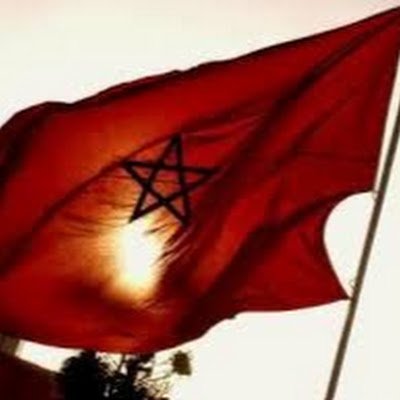 LeSakhar's profile picture. 