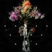 Mottensegler (@mottensegler) Twitter profile photo Mottensegler (@mottensegler) Twitter profile photo