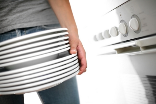 Dishwasher_safe's profile picture. 