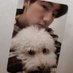 MW ♡ รับกดบัตร (@wctk17) Twitter profile photo MW ♡ รับกดบัตร (@wctk17) Twitter profile photo