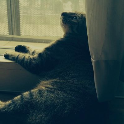 pandaggggggg's profile picture. R5.8.31ふね/松田龍平がいい。顔だけ