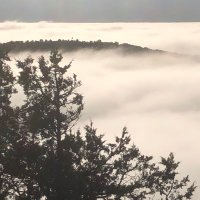 Elpas 🅰️1️⃣ YA (@elpas1977) 's Twitter Profile Photo