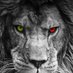 Abdulkadir Sincan (@sincan935) Twitter profile photo Abdulkadir Sincan (@sincan935) Twitter profile photo