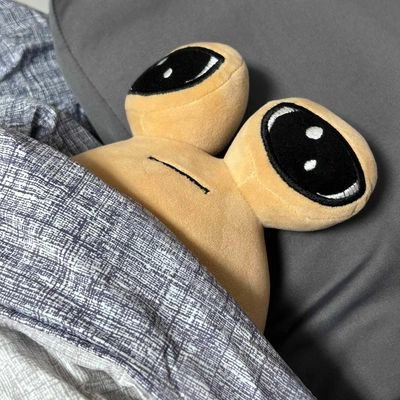 MP24181's profile picture. NSFW only 🔞🔞 21⬆️ /my english is so sick 😂😂 #creek #spstyle