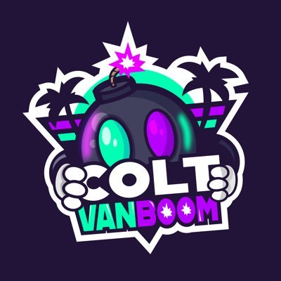 VanBoomGaming Profile Picture