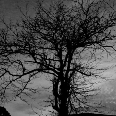 gwhale78's profile picture. 