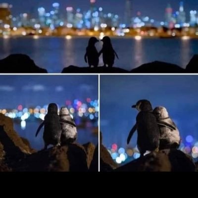 Pensacolarose7's profile picture. ...Heaven is closer than we think, live life like your there.