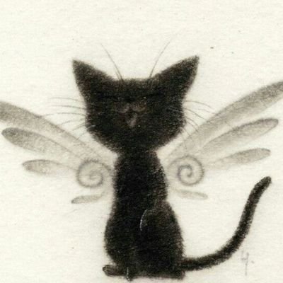 Daly0kal's profile picture. shedtwt // imc 19.8 // pa:: 55,2kg // 
sou feita de clonazepam, conhaque e maconha // se quiser ver fotos minhas picantes, clica no link do Reddit ali 🪷