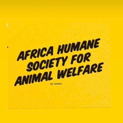 here for the survival of all endangered Dogs in west africa rescued over 150 Dogs follow our instagram @riightgramx @ahsawonline