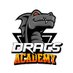 Dracs Academy (@AcademyDracs) Twitter profile photo