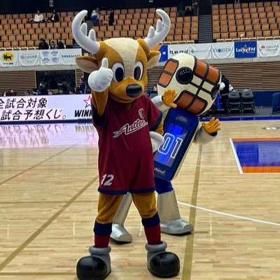 茨城ロボッツブースター 📣🤖アウェー遠征好きアダストリア水戸アリーナのL席 ラウドエリアにいます。🍺大好き。 ロボッツブースターの皆様宜しくお願い致します。 フォローご自由にどうぞ😆