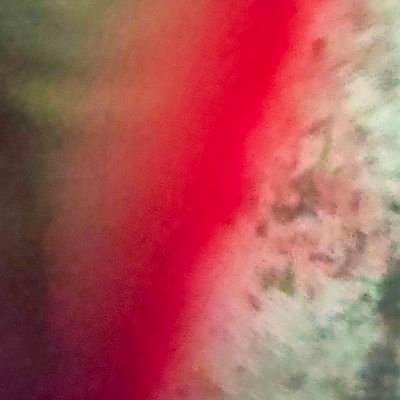 Jammieee771's profile picture. punk