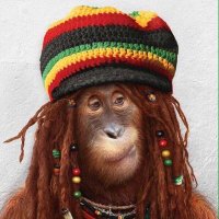 OUKITA 🇧🇪🇵🇸 🇾🇪 🇷🇺 (@oukita2) 's Twitter Profile