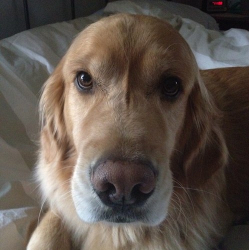 123LarryBs's profile picture. 