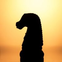 ♟️ Schachgeflüster (@schachgefluster) 's Twitter Profile Photo ♟️ Schachgeflüster (@schachgefluster) 's Twitter Profile Photo
