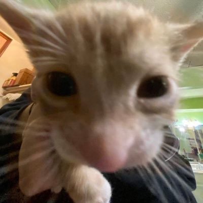 1306_namu's profile picture. ☁️ พร้อมส่งทุกชิ้น สนใจสอบถามก่อนได้ฮะ (ตอบช้าขออภัย เพราะอาจไม่เห็นแจ้งเตือน+เดมไม่ขึ้น 🙇‍♀️) #savereviwe #save_update ส่งของจันทร์-ศุกร์ *