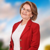 Birsen Çelik (@birsencelik20) Twitter profile photo