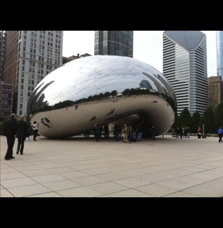 see_anemone's profile picture. Adaptable detritivore..