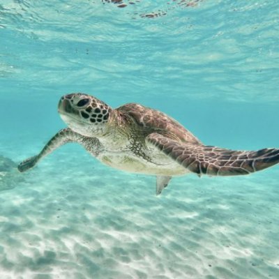 polarlow3001's profile picture. 