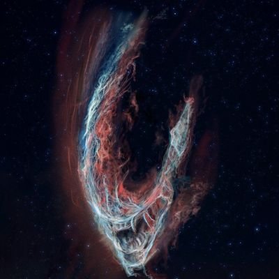 JuanShepardo's profile picture. En la película Salvar al soldado Sánchez yo soy de los malos.

Y me encanta.