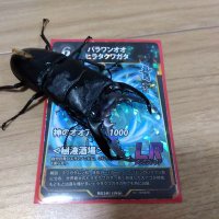 りゅうじ@蟲主 (@x7tkmf0q2qvaal1) Twitter profile photo