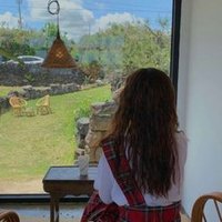 McShawe (@mcshawe1529) 's Twitter Profile