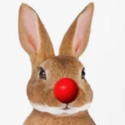 FunnyBunnies17 Profile Picture