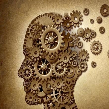 plyuks's profile picture. 